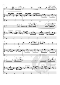Ave Maria von Franz Schubert (Download) 