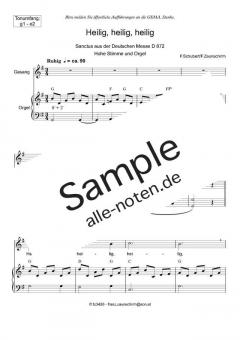 Zum Sanctus (Heilig, heilig) hoch von Franz Schubert (Download) 