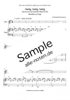 Zum Sanctus (Heilig, heilig) von Franz Schubert (Download) 