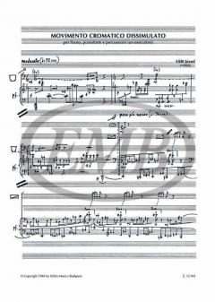 Movimento cromatico dissimulato (Jozsef Sari) 