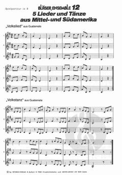 Bläser-Ensemble 12 