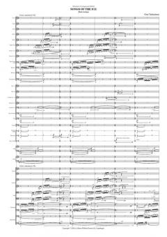Songs Of The Ice von Outi Tarkiainen 