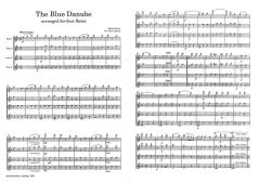 The Blue Danube von Johann Strauss (Vater) 