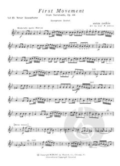 First Movement from Serenade, Op. 44 von Antonín Dvořák 