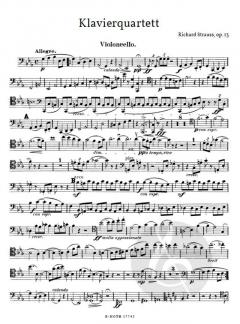 Klavierquartett c-Moll op.13 von Richard Strauss 