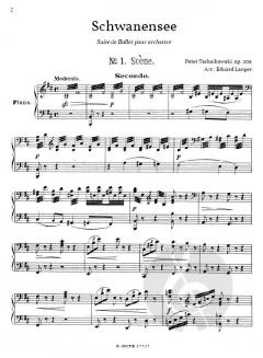 Schwanensee von Peter Iljitsch Tschaikowsky 