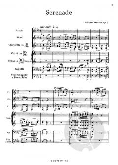 Serenade für 13 Blasinstrumente op.7 von Richard Strauss 