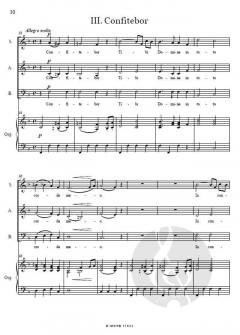 Vespere breves von Schwarz, Amandus 