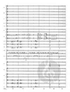 The Patriot von John Williams 