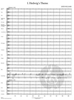 Harry Potter and the Sorcerers Stone Suite von John Williams 