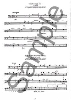 My Heart Will Go On (Celine Dion) 