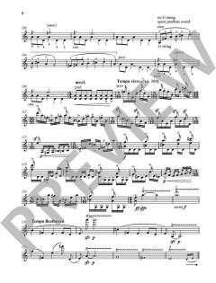 Kadenzen von Fazil Say (Download) 