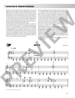 Boogie & Blues Piano von Wolfgang Wierzyk 
