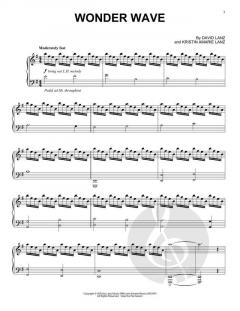 Wonder Wave von David Lanz 