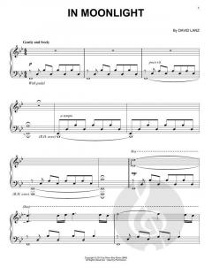 In Moonlight von David Lanz 