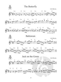 Great Fiddling Tunes - Celtic Gems von Craig Duncan 
