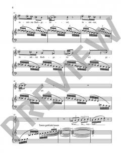 Das ästhetische Wiesel von Anno Schreier (Download) 