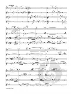 Passacaglia von Andras Somos 
