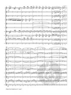 Adagio von Georges Bizet 