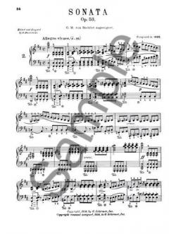 10 Sonatas For Piano von Franz Schubert 