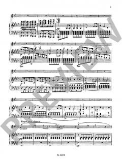 Konzert Nr. 1 f-Moll op. 73 von Carl Maria von Weber 
