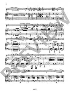 Konzert Nr. 1 f-Moll op. 73 von Carl Maria von Weber 