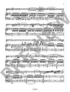 Konzert Nr. 1 f-Moll op. 73 von Carl Maria von Weber 