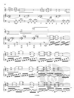 Concerto Pour Violon von Pascal Zavaro 