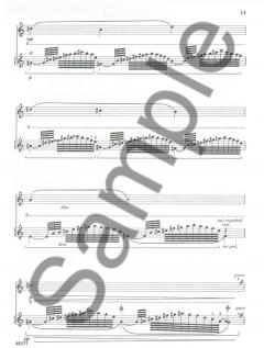 Introduction, Theme and Variations von Louis Moyse für Flöte und Klavier im Alle Noten Shop kaufen