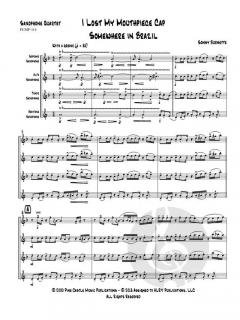 I Lost My Mouthpiece Cap Somewhere in Brazil von Sonny Burnette 