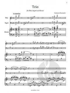 Trio für Flöte, Fagott und Klavier von Gaetano Donizetti 
