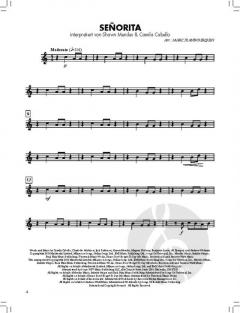 BläserKlasse Chart-Hits - Trompete in B 