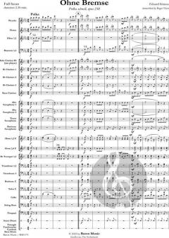 Ohne Bremse von Eduard Strauss (Download) 