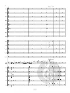 Cellokonzert Nr. 1 a-moll op. 33  im Alle Noten Shop kaufen (Partitur)