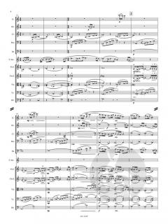 Konzert für Sopransaxophon und Streicher  von Allan Stephenson 