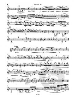 Duo für Klarinette und Klavier von Johannes Brahms im Alle Noten Shop kaufen