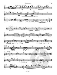 Duo für Klarinette und Klavier von Johannes Brahms im Alle Noten Shop kaufen