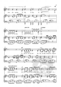 In time of silver rain von Sarah Quartel (Download) 