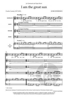 I Am The Great Sun von Jussi Chydenius (Download) 