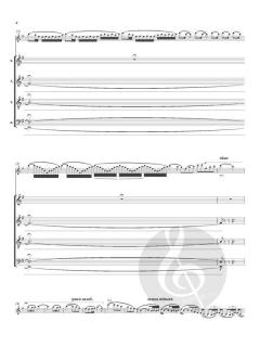 The Lark Ascending von Ralph Vaughan Williams (Download) 