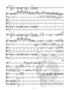 Rhapsody in Blue (Partitur und Stimmen) von George Gershwin 