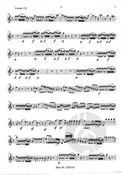 Die Zauberflöte von Wolfgang Amadeus Mozart 