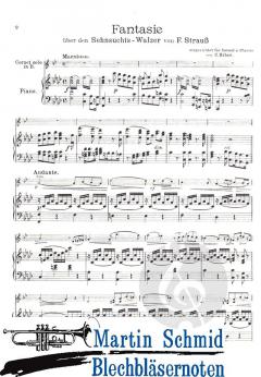 Fantasie über der Sehnsuchtswalzer von F.Strauss von Carl Höhne 