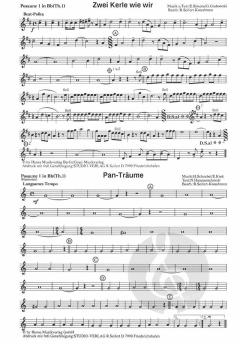 Lustige Musikanten 13 