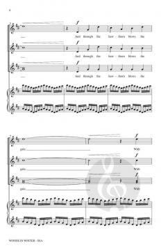 Woods In Winter (Download) 