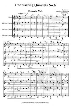 Contrasting Quartets 6 