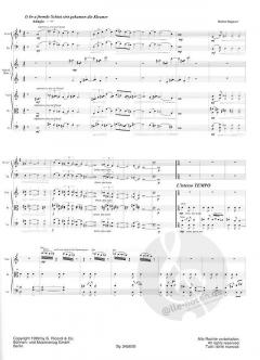 Klezmer für Kammerensemble im Alle Noten Shop kaufen (Partitur) (Sonderangebot)