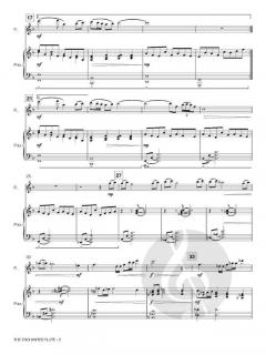 The Enchanted Flute von Allen Vizzutti 