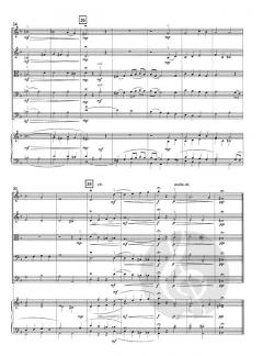 Song of the Birds 