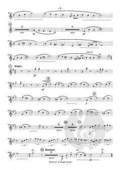 Echo Alp 